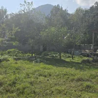 زمین به متراژ ۵۰۰ متر ماسال