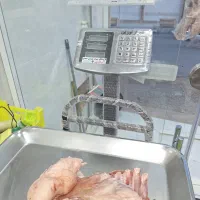 یخچال مرغی ولاشه خور قصابی