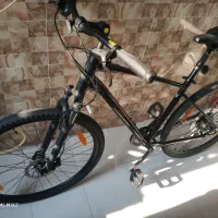 جاینت سایپرس 2 Giant cypress 2|دوچرخه، اسکیت، اسکوتر|تهران, عباس‌آباد|دیوار