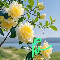 نظارت ومشاوره فضای سبز