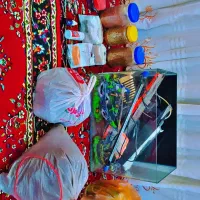 آکواریوم پلنت شیشه خم حرفه ای با وسایل و لوازم