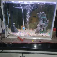 آکواریوم شیشه خم با تمام تجهیزات