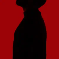 بلیط کنسرت آرمان گرشاسبی