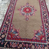 کلیایی کردستان زیبا گوشتدار رنگ گیاهی