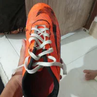 کفش سالنی|کیف، کفش، کمربند|نورآباد, |دیوار