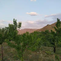 باغ میوه وتفرجگاه|فروش زمین و ملک کلنگی|مشهد, جاهد شهر|دیوار