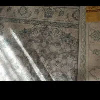 فرش|فرش|تهران, استخر|دیوار