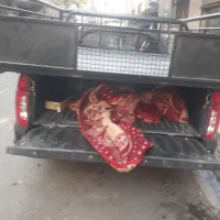 حمل بار به تمام نقاط تهران و اطراف شهرستانها|خدمات حمل و نقل|چهاردانگه (تهران), |دیوار