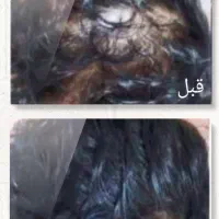 روغن های تخصصی