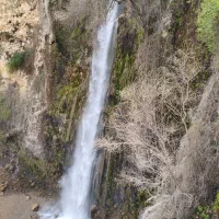 کسی بیگ شیری داشت خبر بده