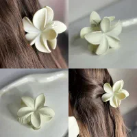 انواع گیره و کلیپس