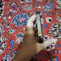 آیفون ۱۲پرو (iphone 12 pro)|موبایل|شیراز, لاله|دیوار