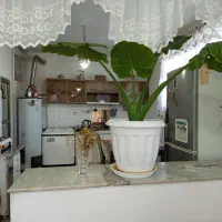 خانه-اجاره-ای-ویلایی-دربست