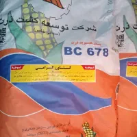 بذر ذرت