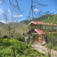 کلبه جنگلی سیاهکل نزدیک آبشار