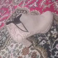 کفش نو نو|کیف، کفش، کمربند|سهند, |دیوار