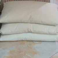 بالشت پر