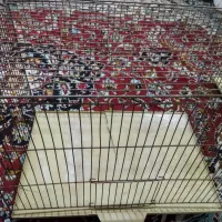 قفس|لوازم جانبی حیوانات|تهران, آبشار|دیوار