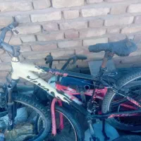 دوچرخه ویوا ۲۰|دوچرخه، اسکیت، اسکوتر|کرمان, |دیوار