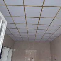 سقف کاذب و درب برقی