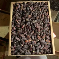 خرما|عمده‌فروشی|ایرانشهر, |دیوار