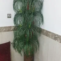 درخچه نخل مصنوعی همراه گلدان