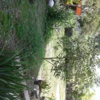 فروش زمین ۱۲۷ متری پشت فرودگاه رشت|فروش زمین و ملک کلنگی|رشت, حومه رشت|دیوار