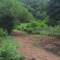 سرایدار|استخدام سرایداری و نظافت|رستمآباد, |دیوار