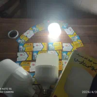 لامپ وچراق الیدی به قیمت آمده