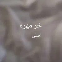 مهره اصلی