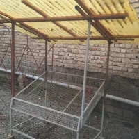 گاری‌طبق میوه