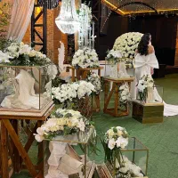 استخدام آشپز
