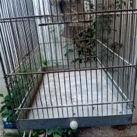قفس سهره غلامی|لوازم جانبی حیوانات|رشت, توشیبا|دیوار