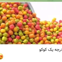 انواع دانه عروس هلندی طولی کاسکو مرغ مینا قناری|لوازم جانبی حیوانات|لاهیجان, کوی زمانی|دیوار