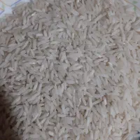 برنج هاشمی|خوردنی و آشامیدنی|رشت, گلسار|دیوار