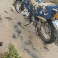 معامله با نیم تلر