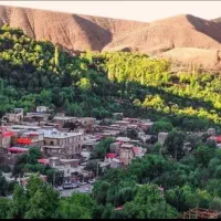 همرا طبیعت گرد