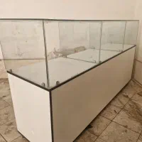 ویترین رگال استند