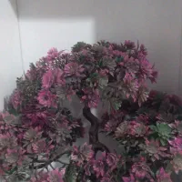 گل مصنویی|گل مصنوعی|آبادان, |دیوار