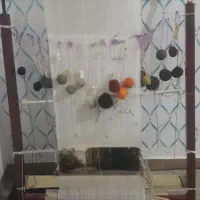 دارقالی نو