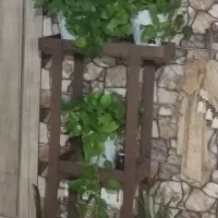 استند|گل و گیاه طبیعی|برخوار, |دیوار