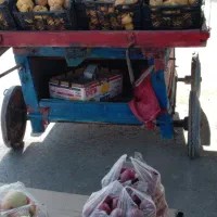 گاری تاریخی