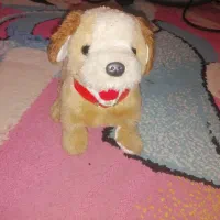 سگ نوستالژی