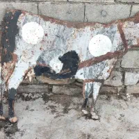 مجسمه گاو فلزی|مجسمه، تندیس، ماکت|کرمانشاه, |دیوار