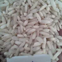 برنج هاشمی|خوردنی و آشامیدنی|زنجان, |دیوار