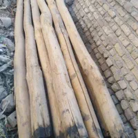 خریدچوب وکنده درخت وچوب سقفی و ریشه|خدمات باغبانی و درختکاری|نیشابور, باغرود|دیوار