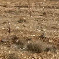 500متر-زمین-با-دو-سند-تک-برگ