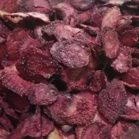 میوه خشک|خوردنی و آشامیدنی|مرودشت, پشت سایپا|دیوار