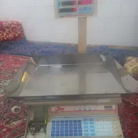 ترازو و نرم افزار حساب داری و خرک میوه|فروشگاه و مغازه|راور, |دیوار