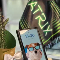 سامسونگ Galaxy S23 Ultra با حافظه ۲۵۶ / اقساط|موبایل|کرج, گوهردشت|دیوار
